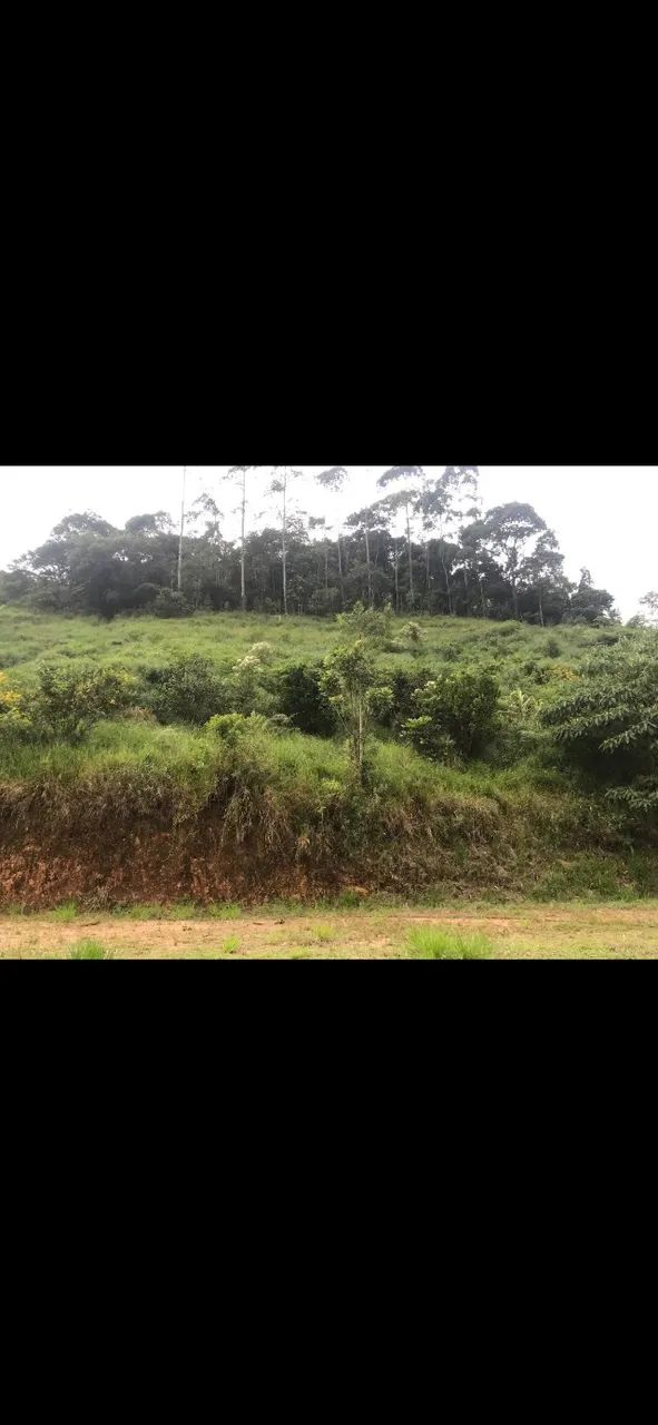 Terreno em galdinopolis vendo  - Foto 4
