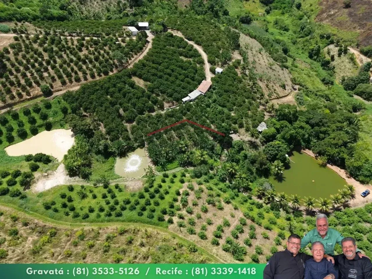 Sítio 8,1 ha à Venda em Chã Grande/PE - Foto 3