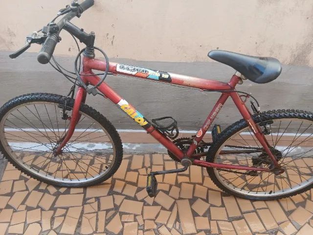 Bicicleta 