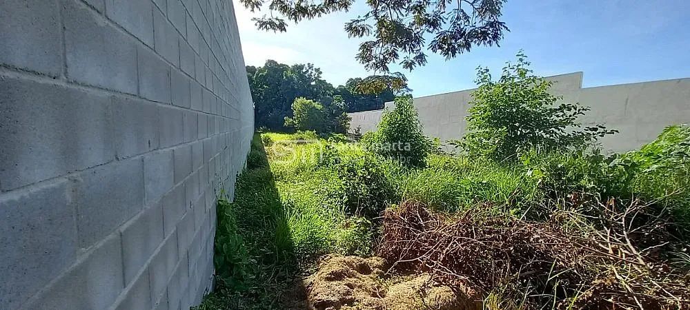 TERRENO PLANO NA VILA PORTUGAL | LORENA - SP - Foto 3