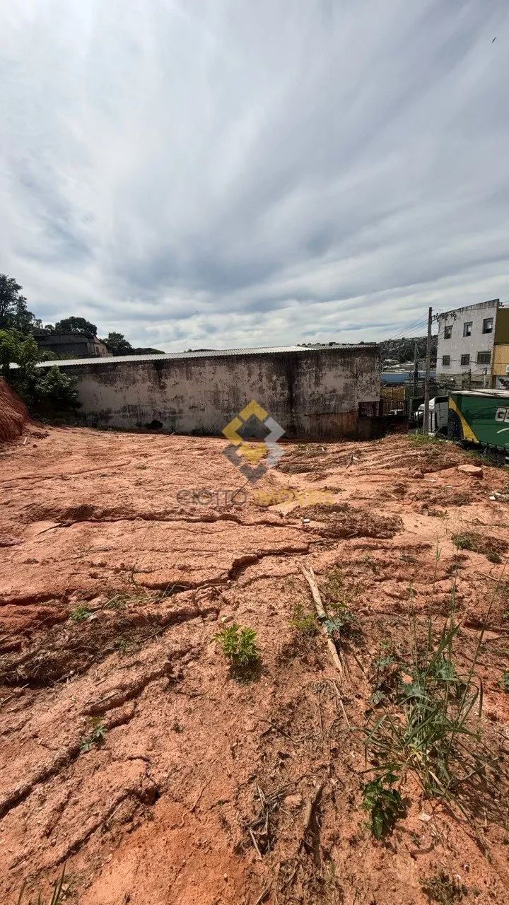 Lote - São Francisco