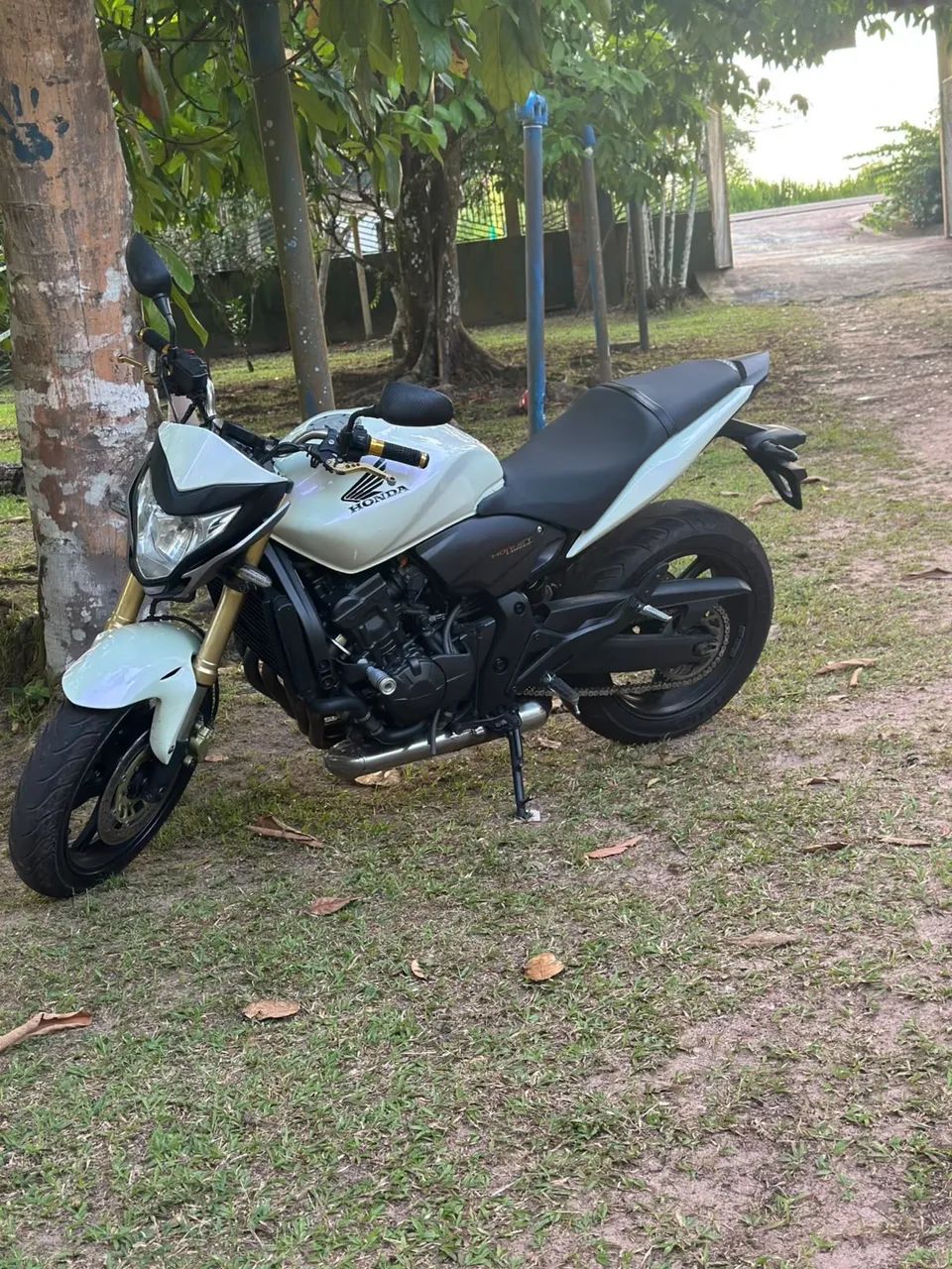 Hornet 600