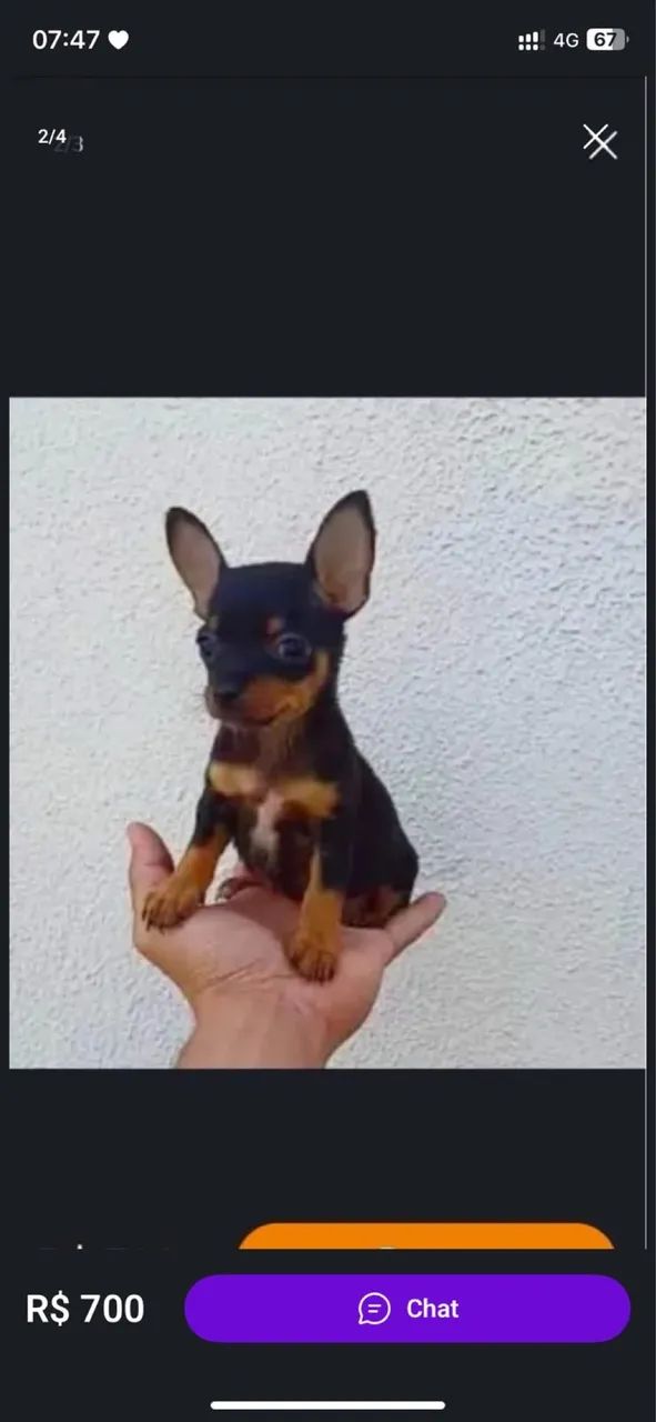 Pincher 0