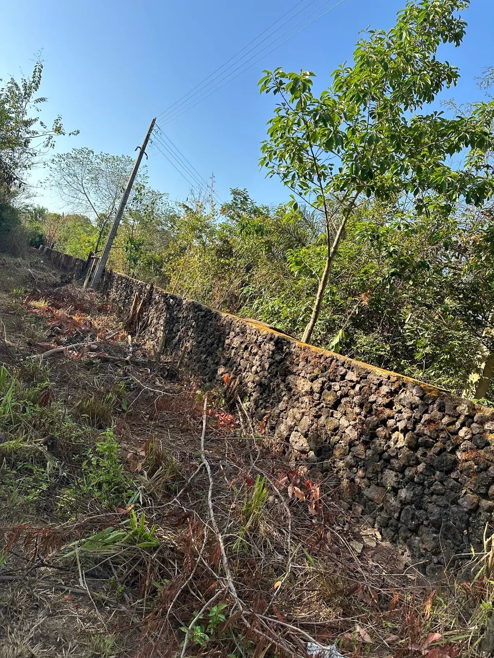 2 hectares a 400 metros da Br 343, entre Expoapi e posto São Raimundo  - Foto 4
