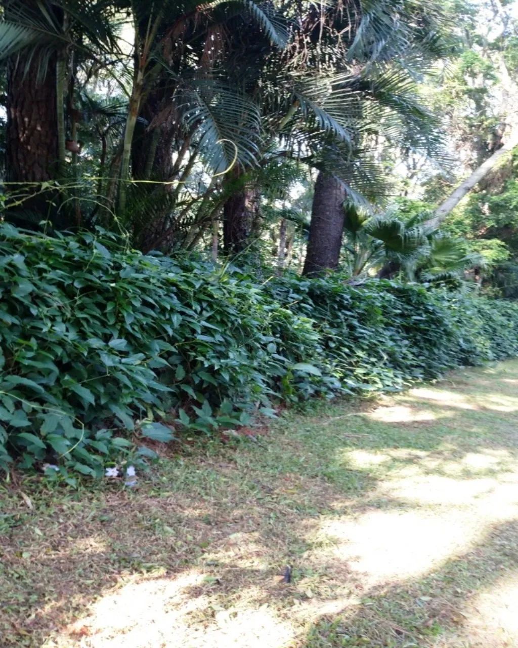 VENDO TERRENO EM CONDOMÍNIO CHÁCARAS GRAMADO - CAMPINAS - Foto 4