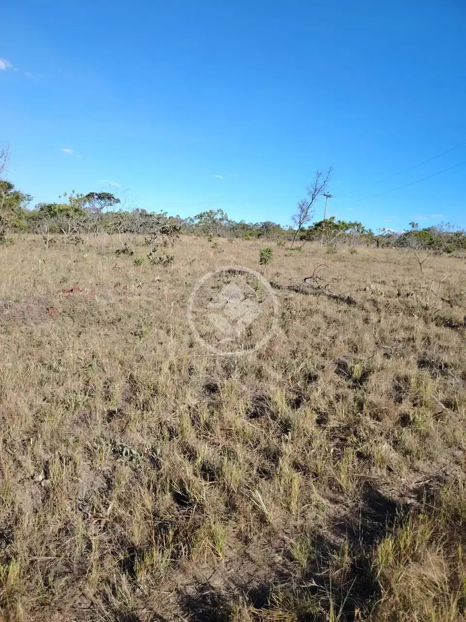 CHÁCARA A VENDA EM CRISTALINA codigo: 150455 - Foto 4