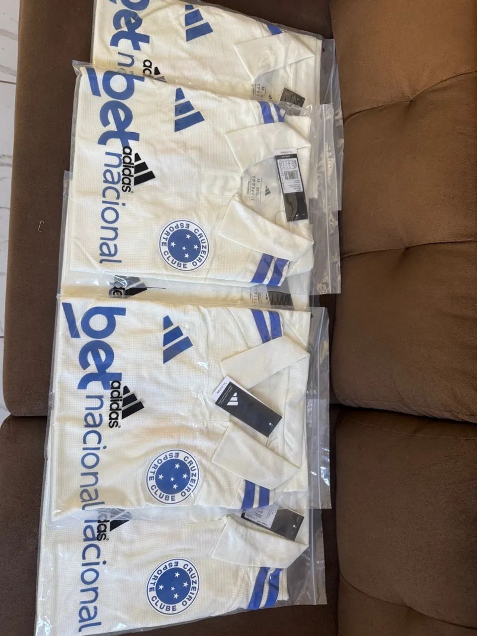 Cruzeiro 2026 - Foto 2