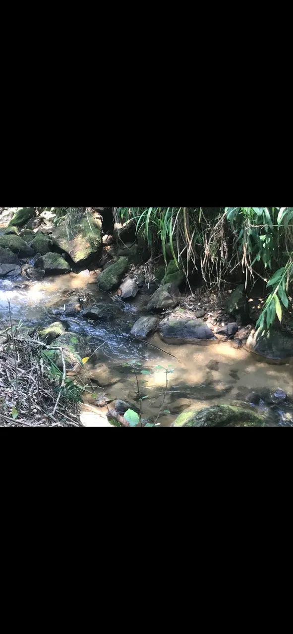 Terreno em galdinopolis vendo  - Foto 2