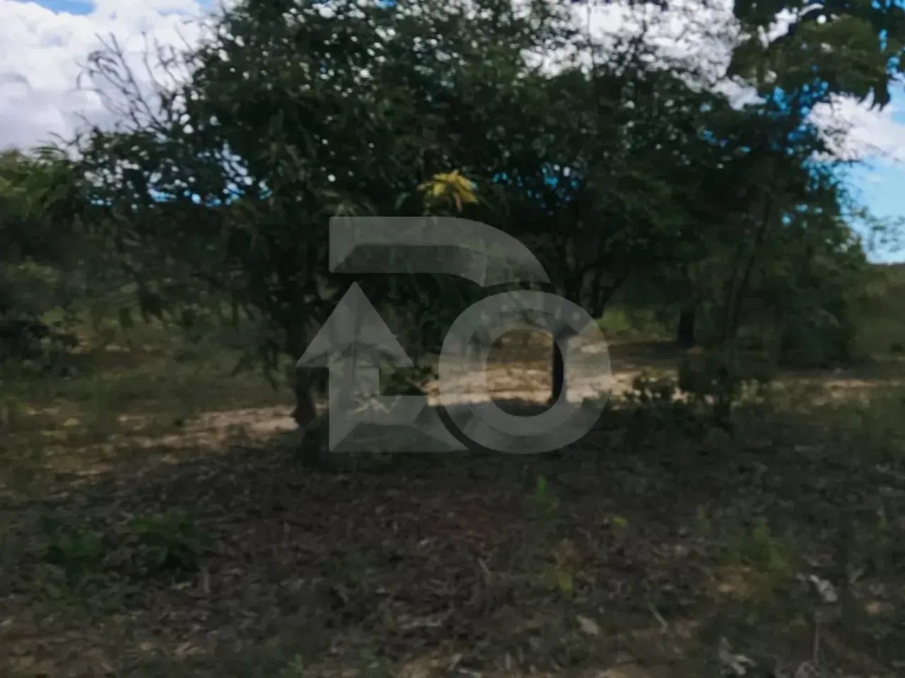Terreno no Abaís: 1.970 m² com Fácil Acesso e Área Cercada