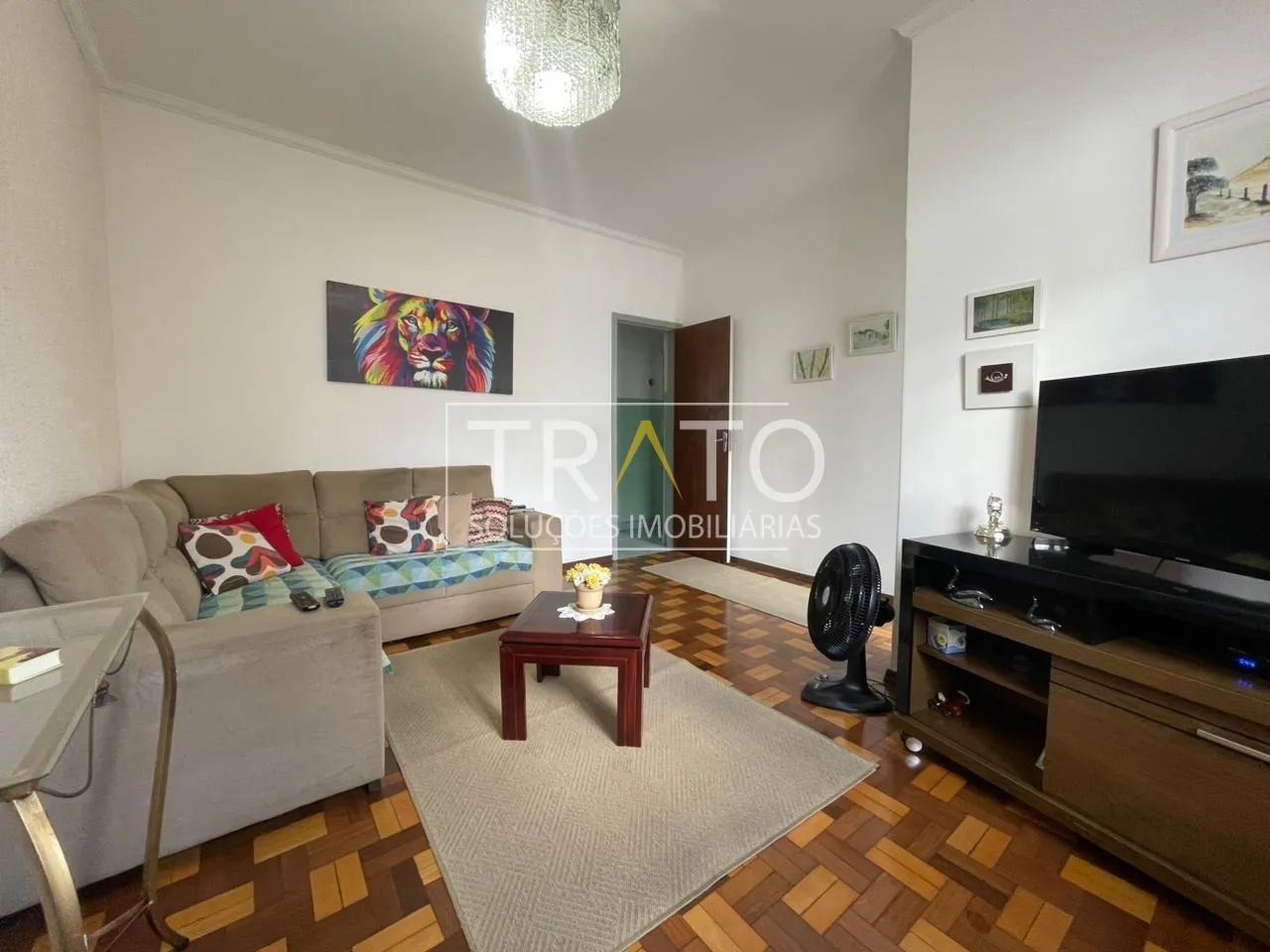 casa - Jardim Proença - Campinas - Foto 4