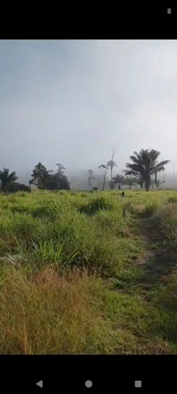 FAZENDA À VENDA  70 HECTARES | CANTÁ  RR - Foto 2