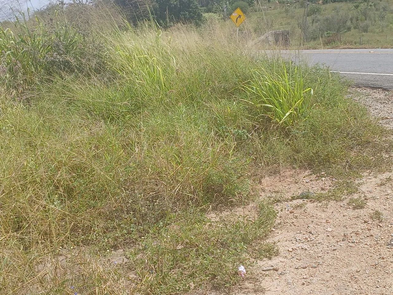 Terreno  - Foto 4