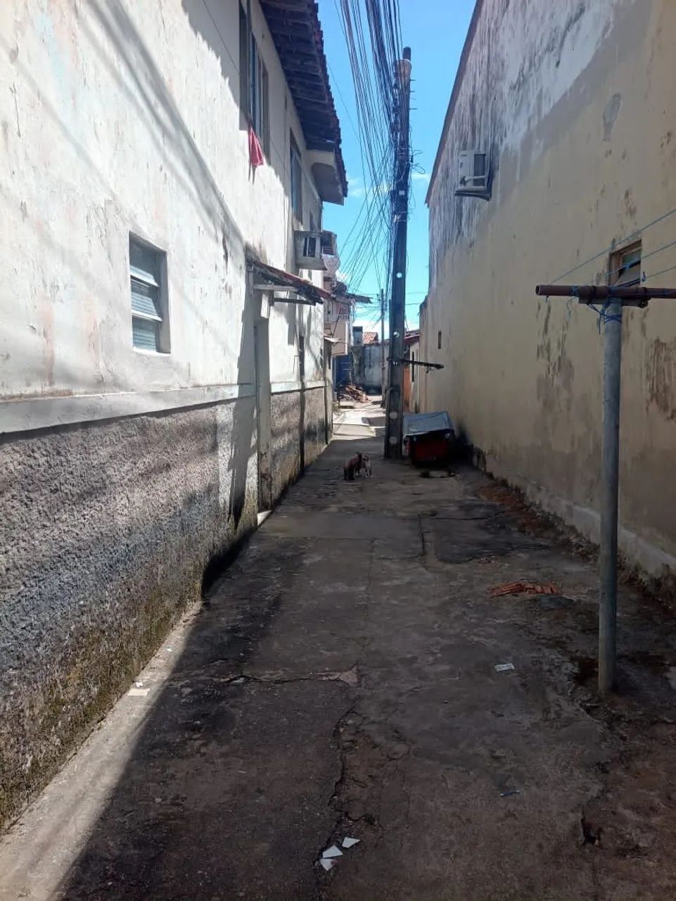Vende-se 100 mil - Foto 2