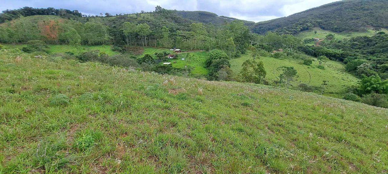 Chácara em Liberdade com 7ha - Foto 4