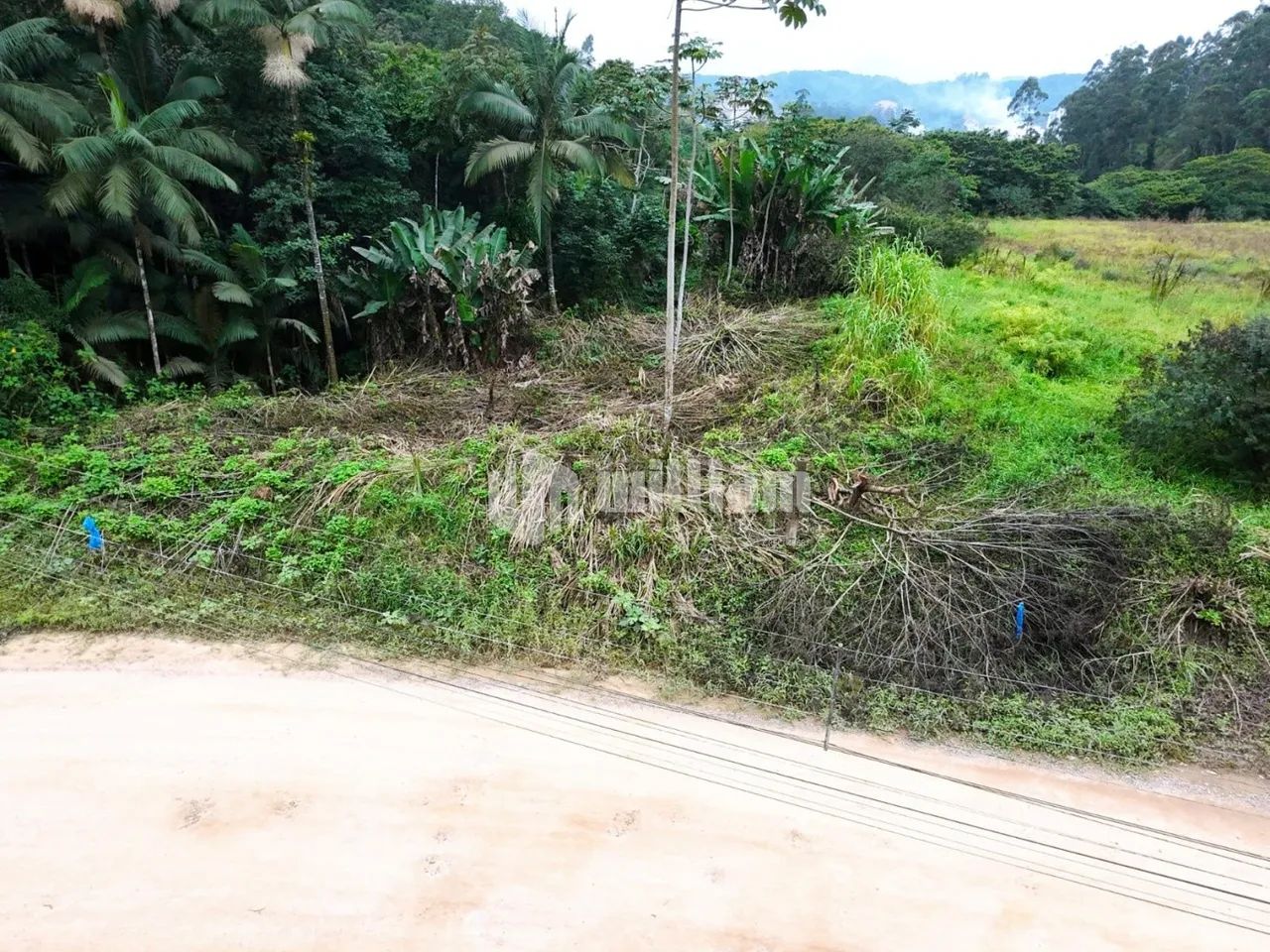 TERRENO NO BAIRRO BATEAS - Foto 4