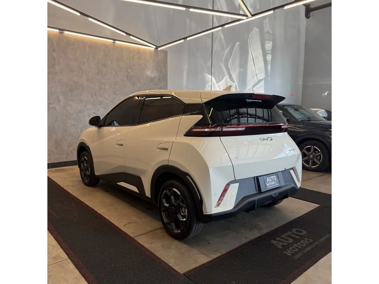 BYD Dolphin Mini (Elétrico) 2027 - Foto 4