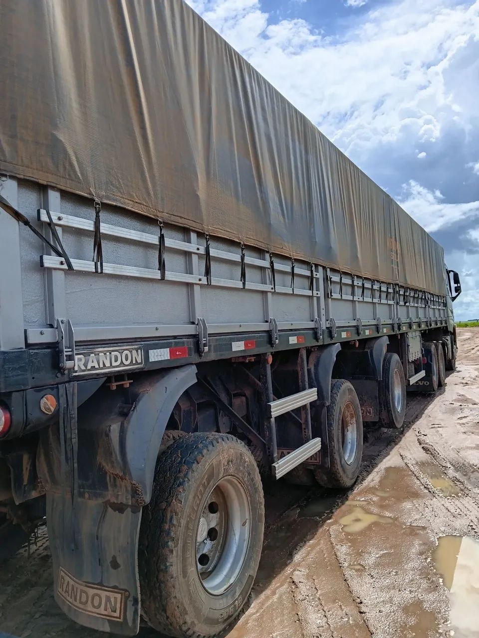 Carreta vanderleia  - Foto 2