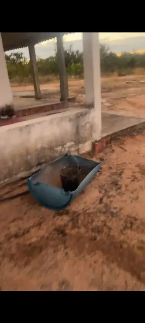 Chácara em Tocantins  - Foto 3