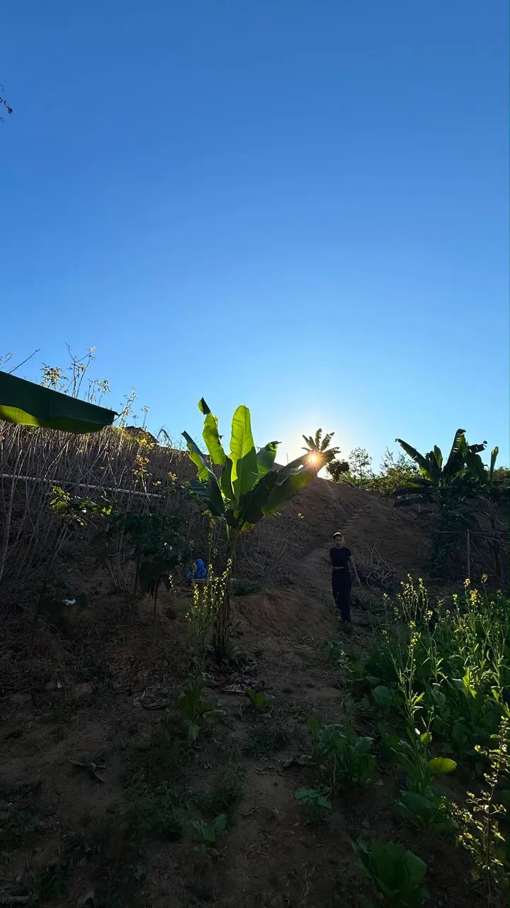 Vende-se Chácara  - Foto 4
