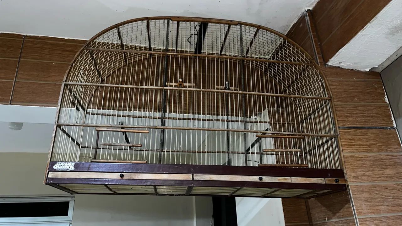 Gaiola Voador 80 cm