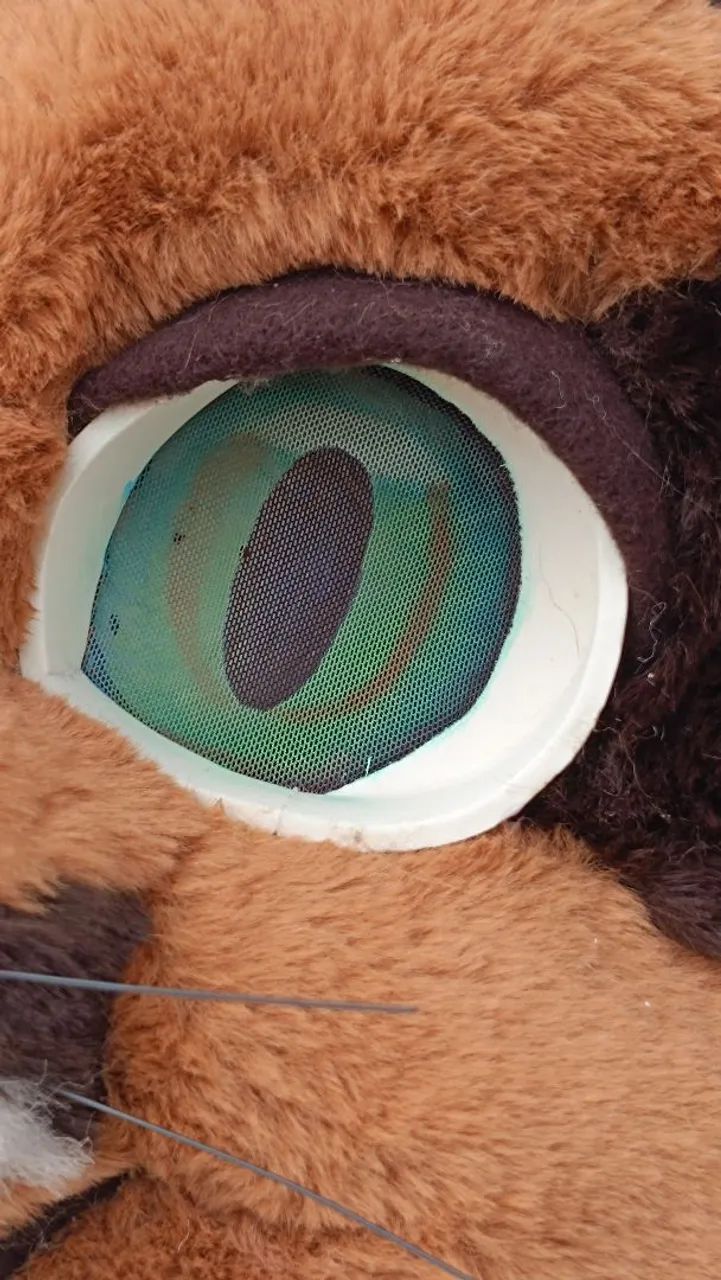 Fursuit nova - Foto 4