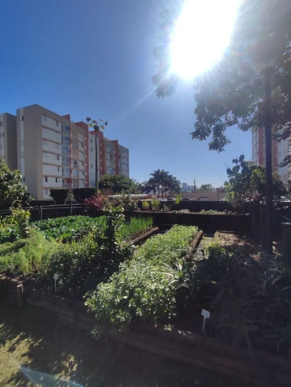 Apartamento próximo a USP e comércios! FL31 - Foto 5