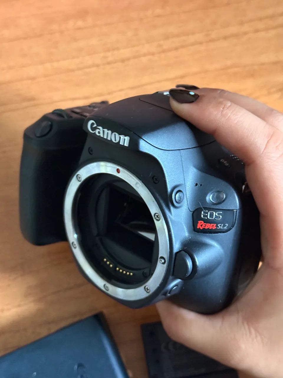 Câmera Canon SL2 e 18-55mm (5k de clicks) - Foto 5