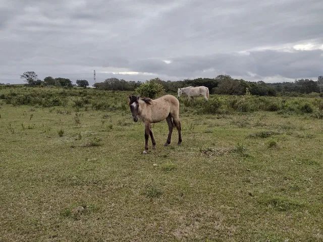 potranco