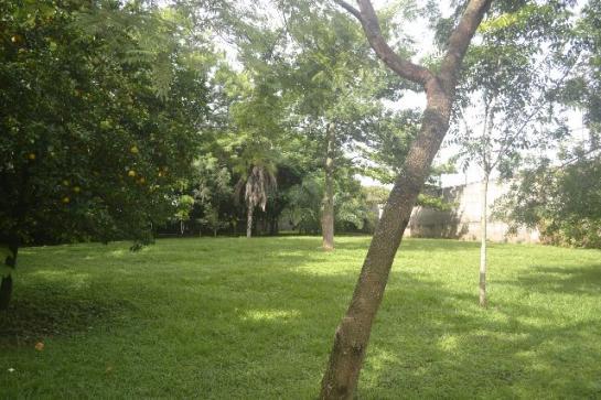 Chácara de 9.237 m² - Vila Morais - Próximo do Jd. Novo Mundo - Foto 7