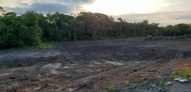 Terreno 10.650m2 em Araquari - Foto 4