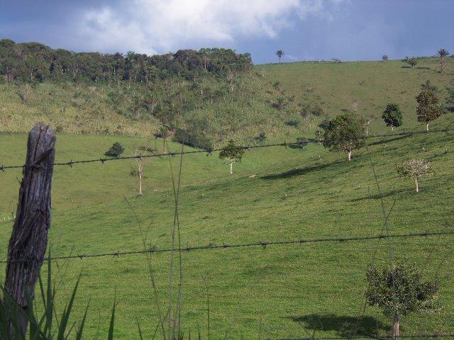 Fazenda com 700 Hectares em Barra de Guabiraba (Cód.: f20568) - Foto 4