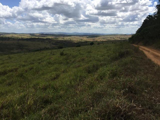 Fazenda em Itagimirim Sul da Bahia - Foto 13