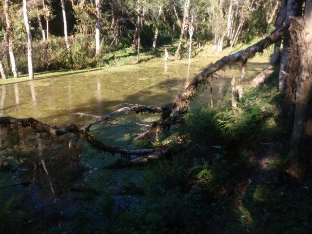 Belissima Chácara em Agudos do Sul/PR 11.500M² - Foto 9