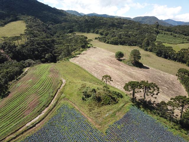 Terreno com vista em Urubici ao lado do Morro da Igreja terreno/lote/área - Foto 6