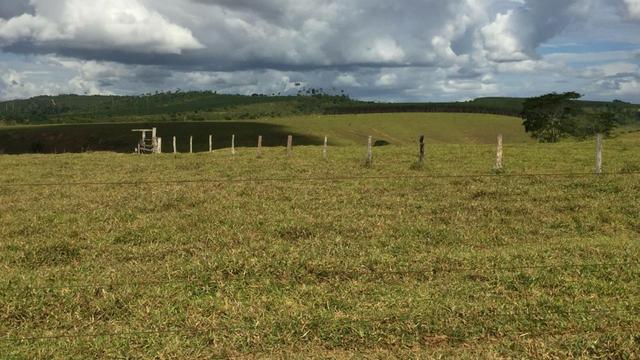 Fazenda em Itagimirim Sul da Bahia - Foto 4