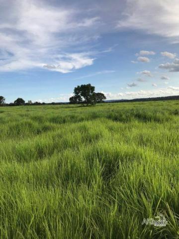 Fazenda à venda, 12640000 m² por R$ 12.500.000,00 - Zona Rural - Bom Jardim de Goiás/GO