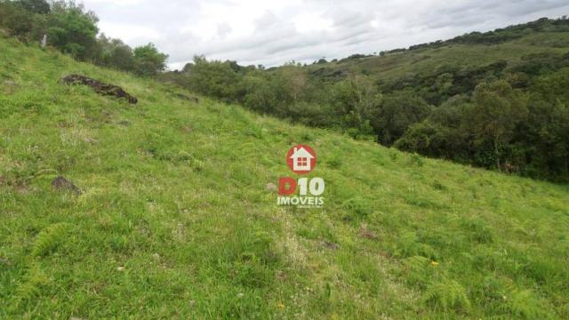 Chácara a venda, próximo ao monumento dos bertussi - r$ 85.000,00