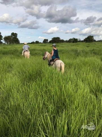 Fazenda à venda, 12640000 m² por R$ 12.500.000,00 - Zona Rural - Bom Jardim de Goiás/GO - Foto 5