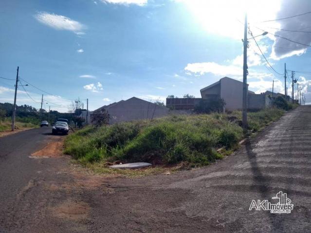 Terreno à venda, 154 m² por R$ 35.000 - Jardim Ana Lígia - Mandaguaçu/PR