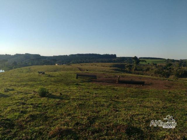 Fazenda à venda, 2699994 m² por r$ 6.500.000 - rural - reserva do iguaçu/pr - Foto 2