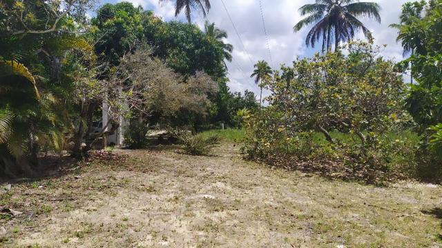 Vende-se excelente sitio em Igarassu, bem localizado - Foto 11