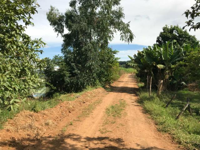 Área Rural - Foto 2