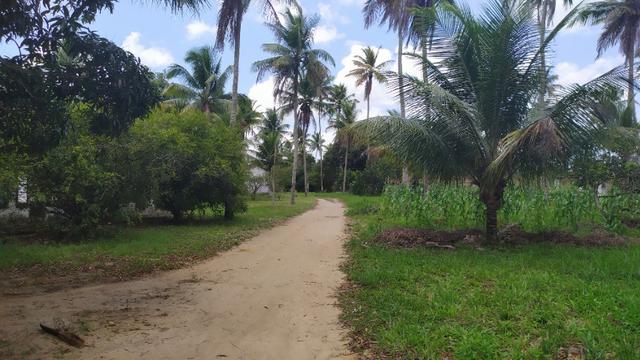 Vende-se excelente sitio em Igarassu, bem localizado - Foto 20
