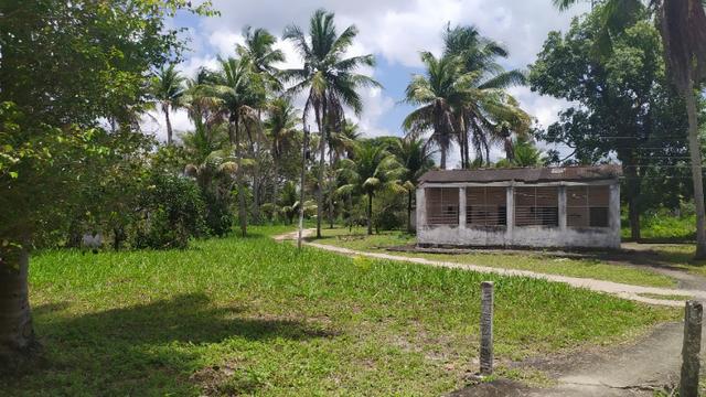 Vende-se excelente sitio em Igarassu, bem localizado - Foto 16