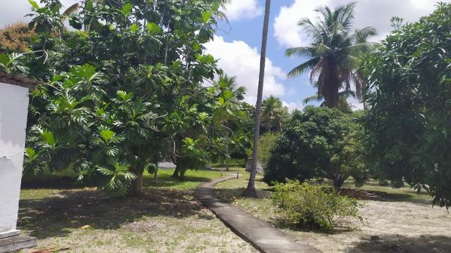 Vende-se excelente sitio em Igarassu, bem localizado - Foto 8