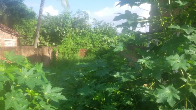 Terreno - Foto 2