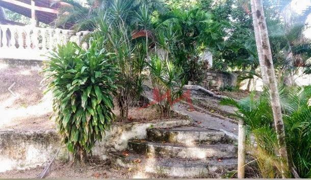 Chácara com 2 quartos à venda, 3200 m² por r$ 500.000 - pindobas - maricá/rj - Foto 12