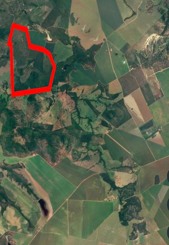 Fazenda bruta oportunidade