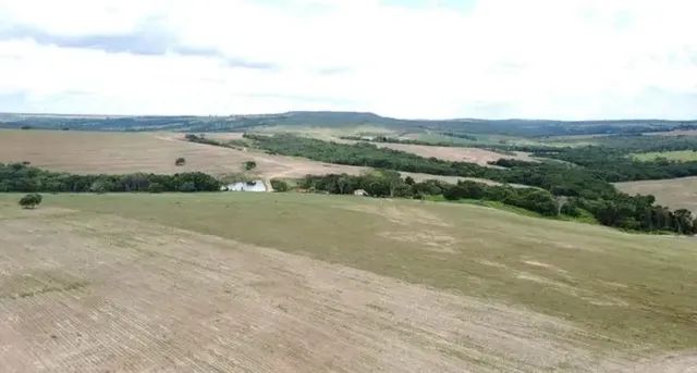 Fazenda de 110 alqueires em Pires do Rio-GO - Foto 5