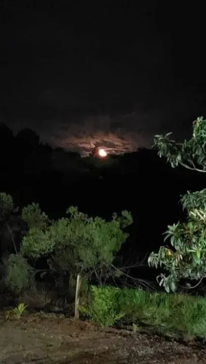 Chácara à venda condomínio fechado interior de SP, Condomínio Fazenda Amadeus Araçoiaba da - Foto 9